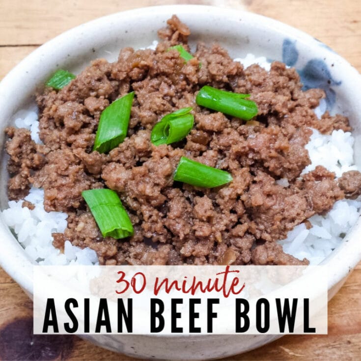 30 Minute Asian Beef Bowl | A Reinvented Mom