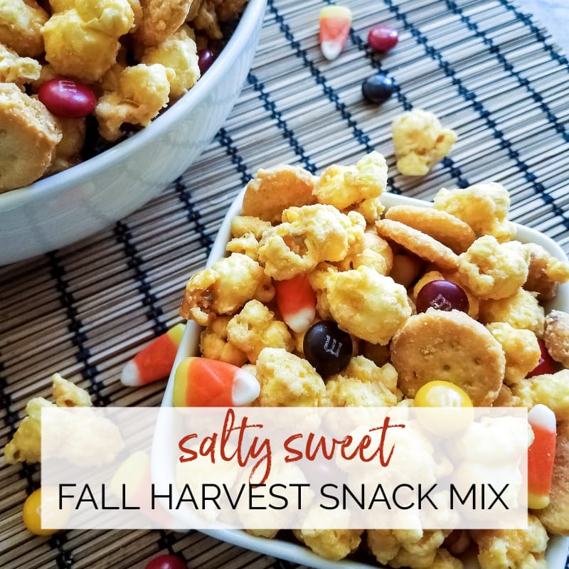 M&Ms Sweet & Salty Snack Mix - Candy Blog
