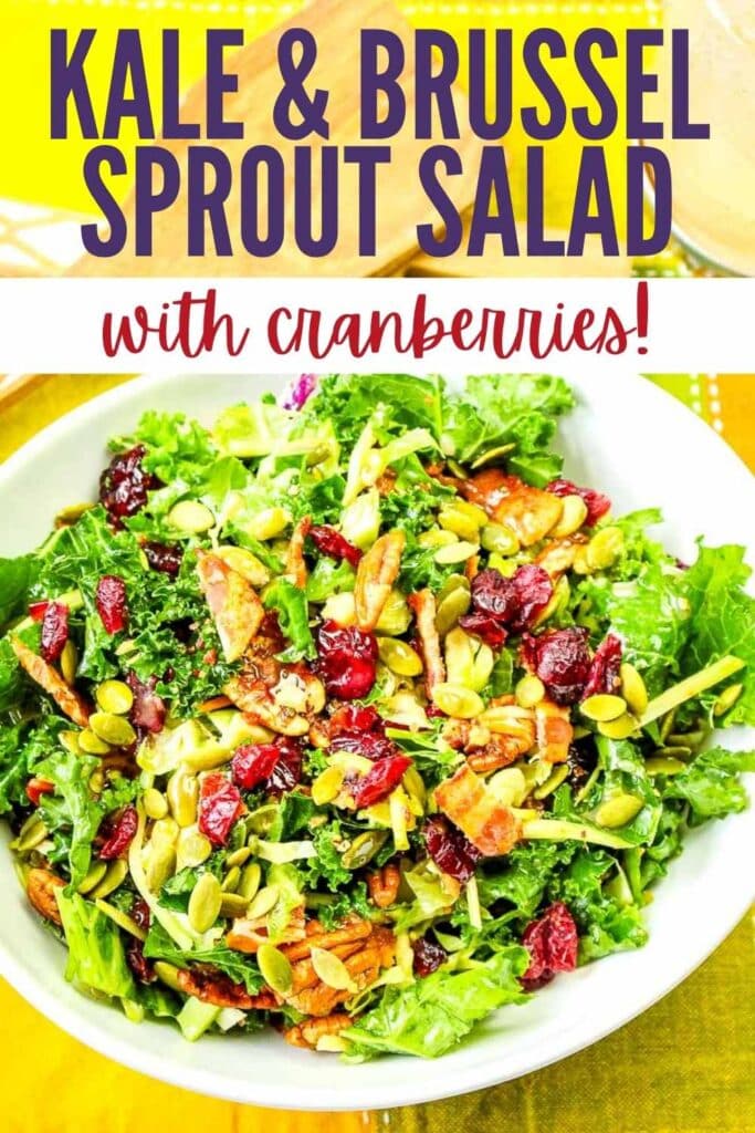 Kale and Brussel Sprout Salad with Cranberries | A Reinvented Mom