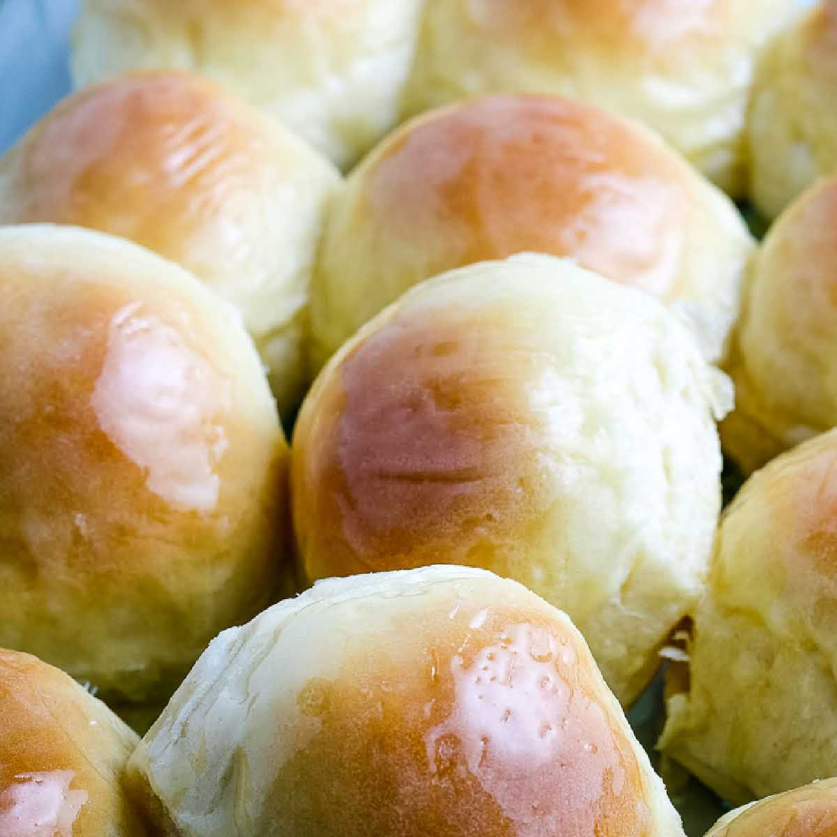 Easy Yeast Rolls for Beginners A Reinvented Mom